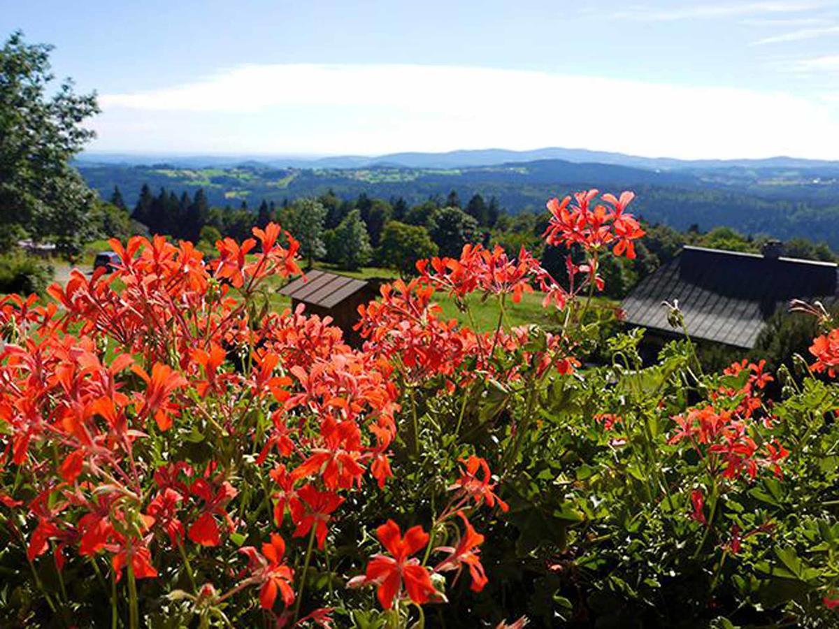 Pension Draxlerhof Neuschönau Eksteriør billede